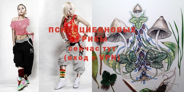 спайс Абдулино