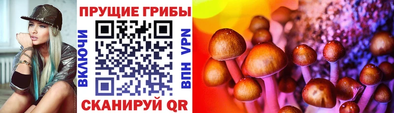 Галлюциногенные грибы ЛСД  Балахна 